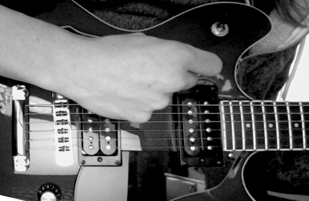 washburn guitar closeup